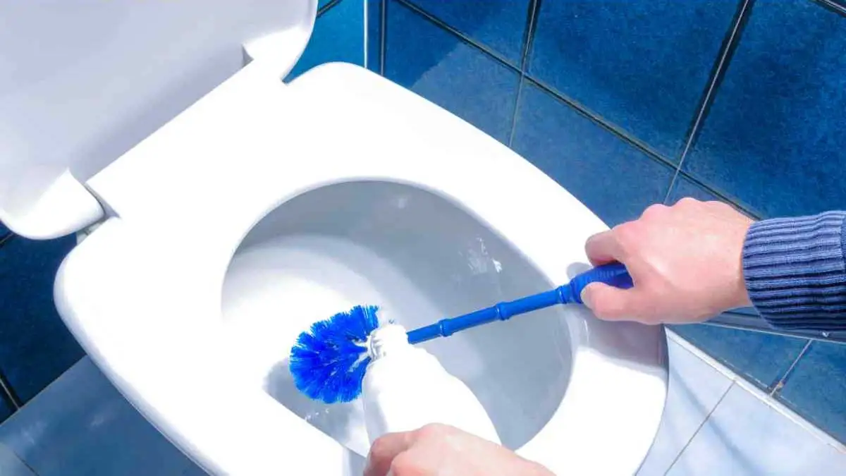Scopri Il Trucco Segreto: Usa Lo Shampoo Per Pulire La Spazzola Del Water!